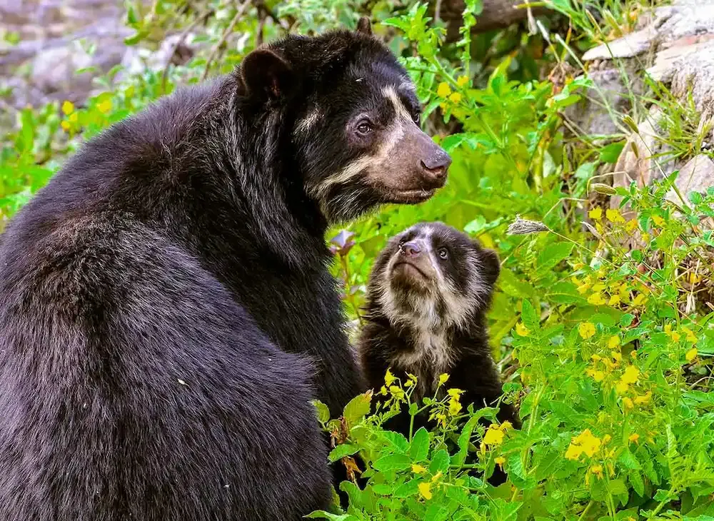 Reserva Ecológica Chaparrí