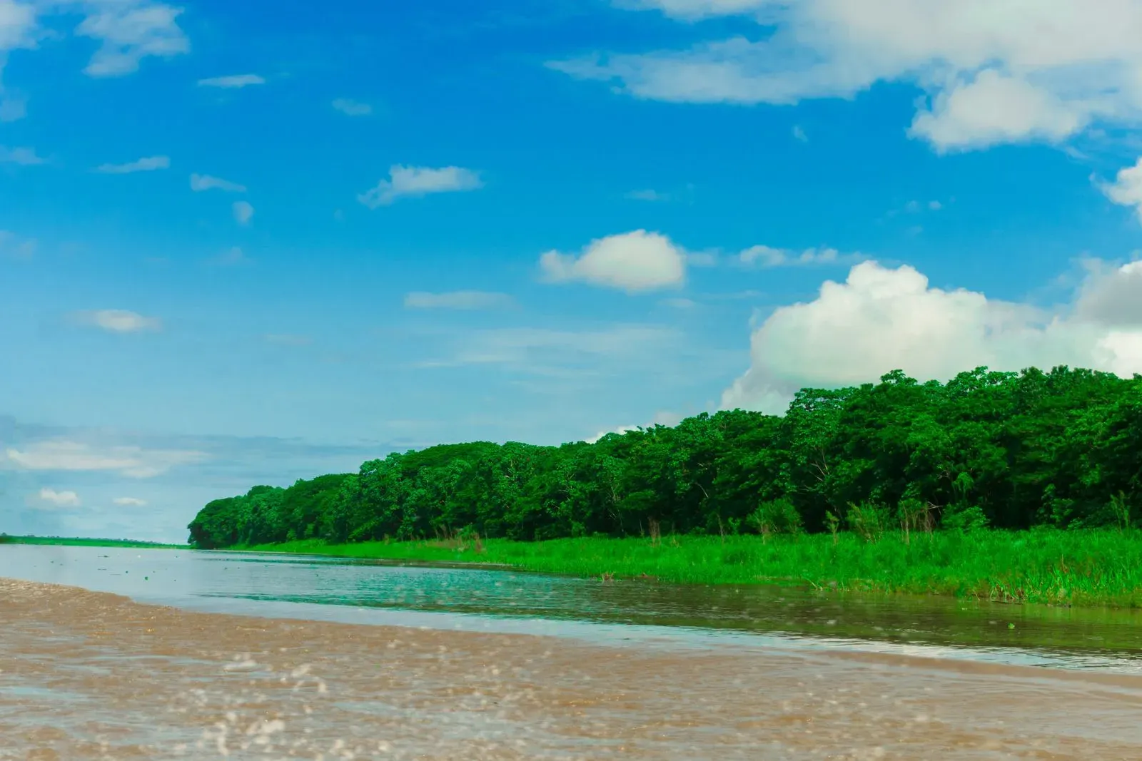 Amazon River