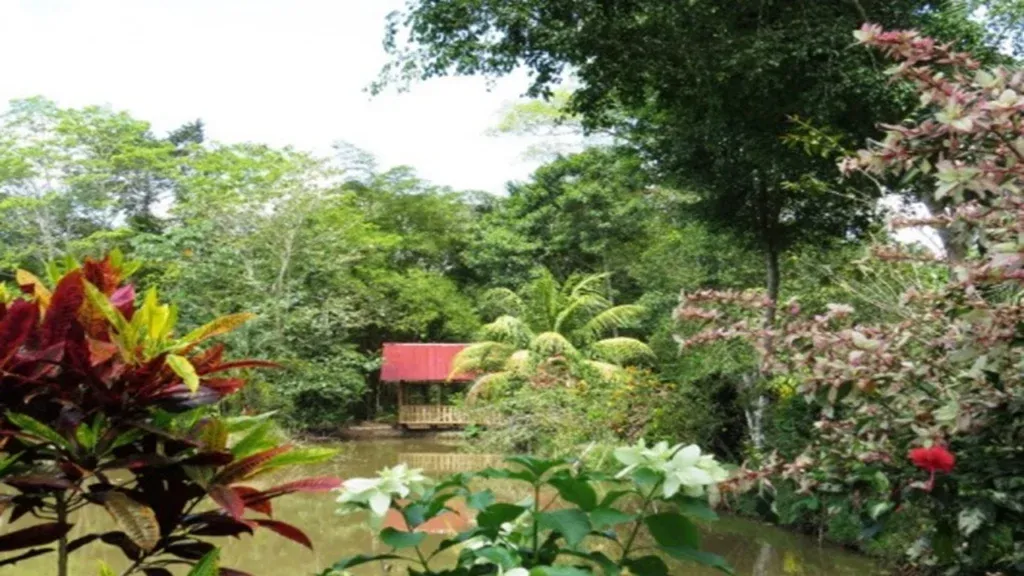 Jardín Botánico – Bio Kuka